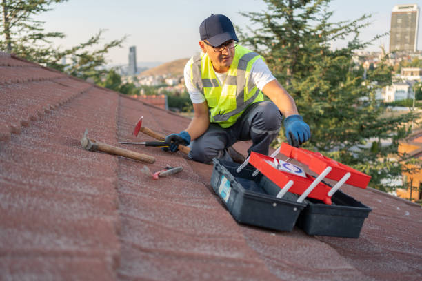 Best Storm Damage Siding Repair  in Central, TN